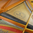 Ritmüller grand piano - Grand Pianos